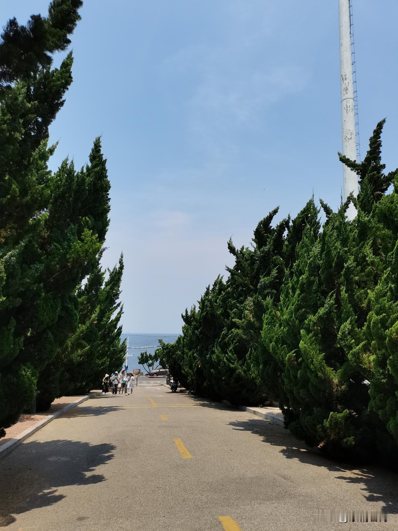 自驾烟台养马岛，赴一场海边治愈之旅
 
自驾专门跑来烟台养马岛，不少人因为岛上天