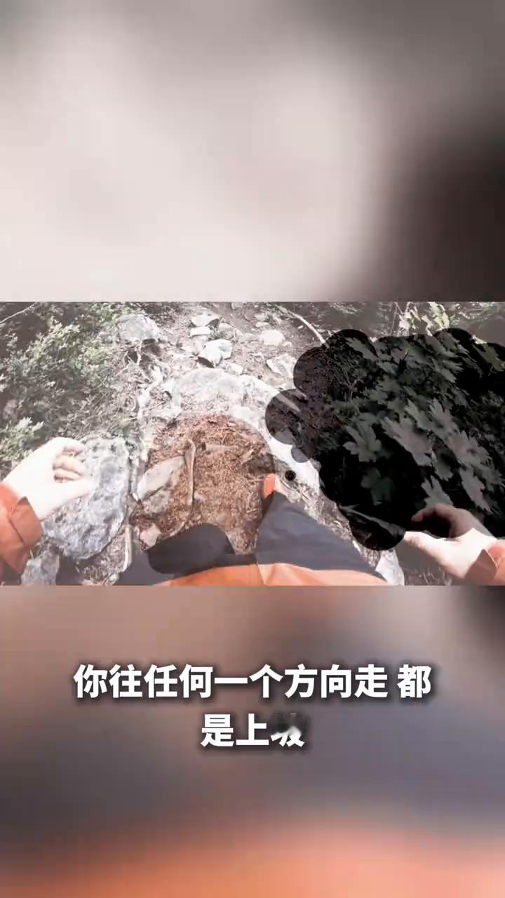 人在最低谷时千万别躺平，这5句话救过我无数次。
你有没有那种时候，工作丢了、感情