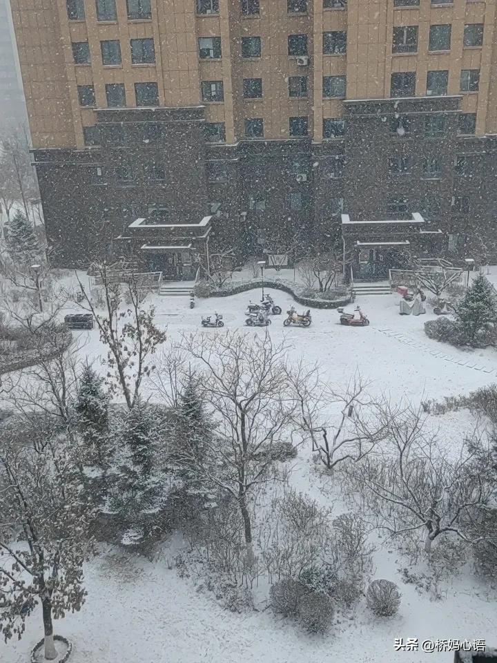 忽如一夜春风来，千树万树梨花开。

这还是小学时候读过的古诗文吧，没想到在今年的