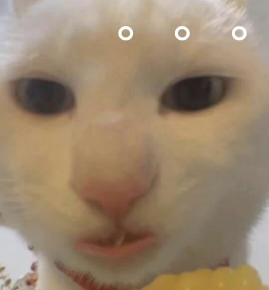 原来妹夫一直用的是假名字