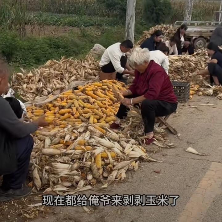 有才的儿子等于白养，因为他远走高飞，去海外，一年见不了两次。
远嫁的闺女等于没生