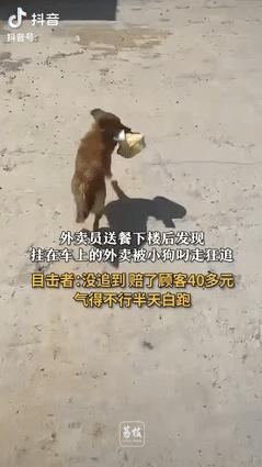 “自认倒霉！”9月30日甘肃兰州，外卖小哥上楼去送餐，为图方便就将另外一份放在了