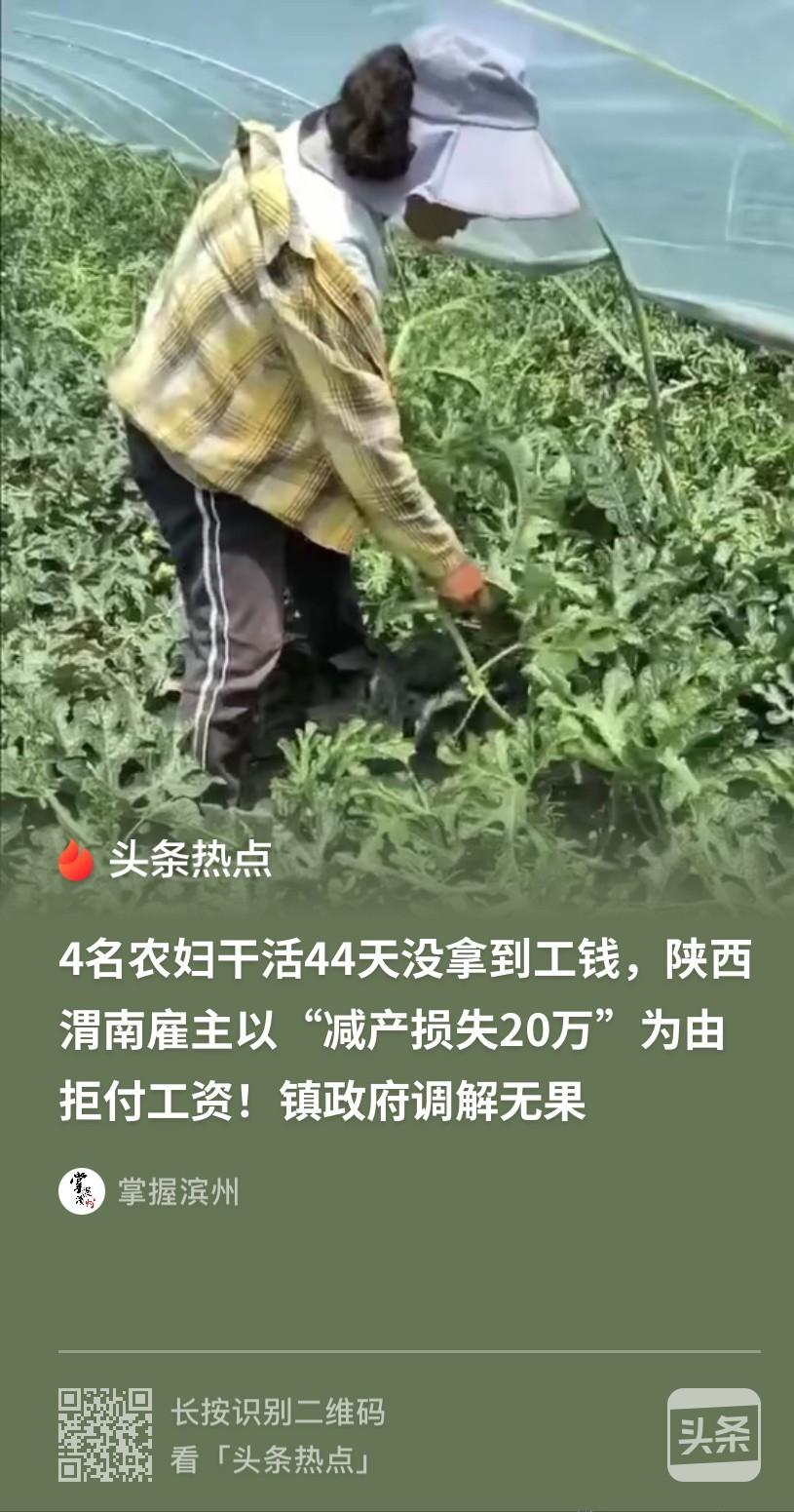 陕西渭南4名农村妇女受雇给西瓜地打杈，辛苦干了44天，本该拿到24000多元工钱