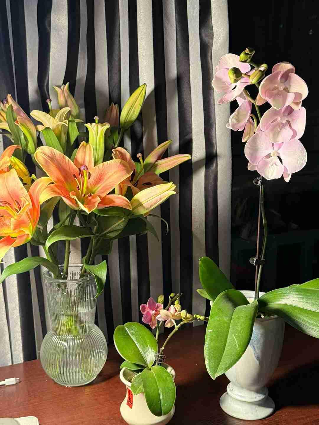 我的今日状态：😁轻松愉快
我这里的天气：☀️晴天