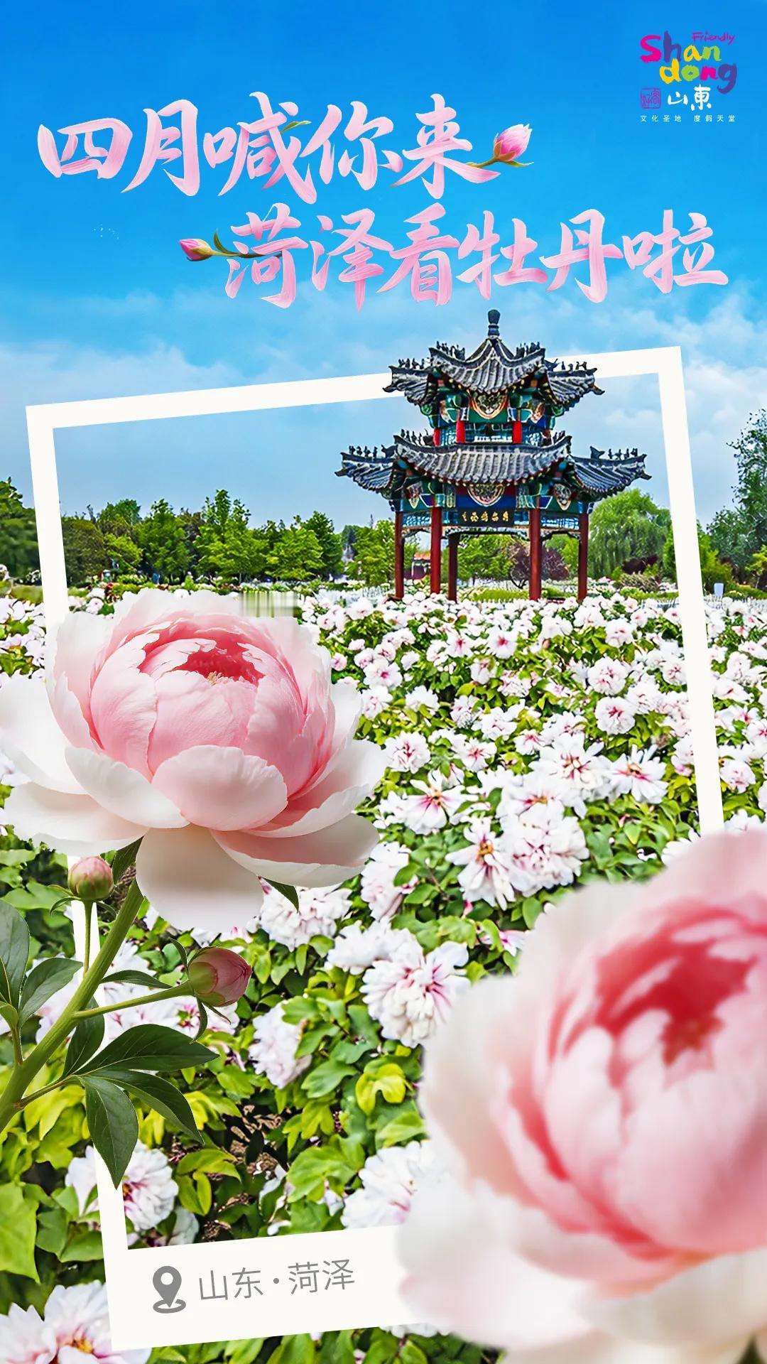 全球一站式政务集中办事大厅（窗口集中办公）国家分洲清单
 
统计口径：建成全国性