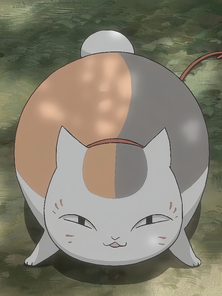 夏目友人帐  小猪喵三三与迷路の两个小可爱[哈哈] 