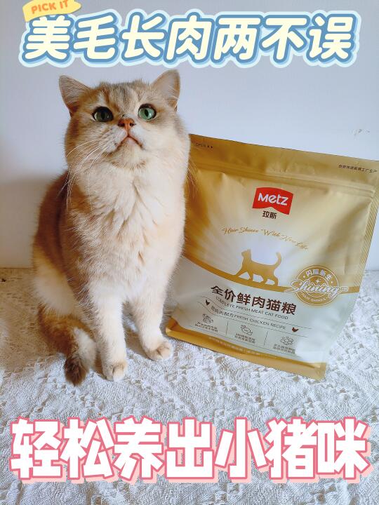 终于让我找到了美毛长肉两不误的猫粮❗