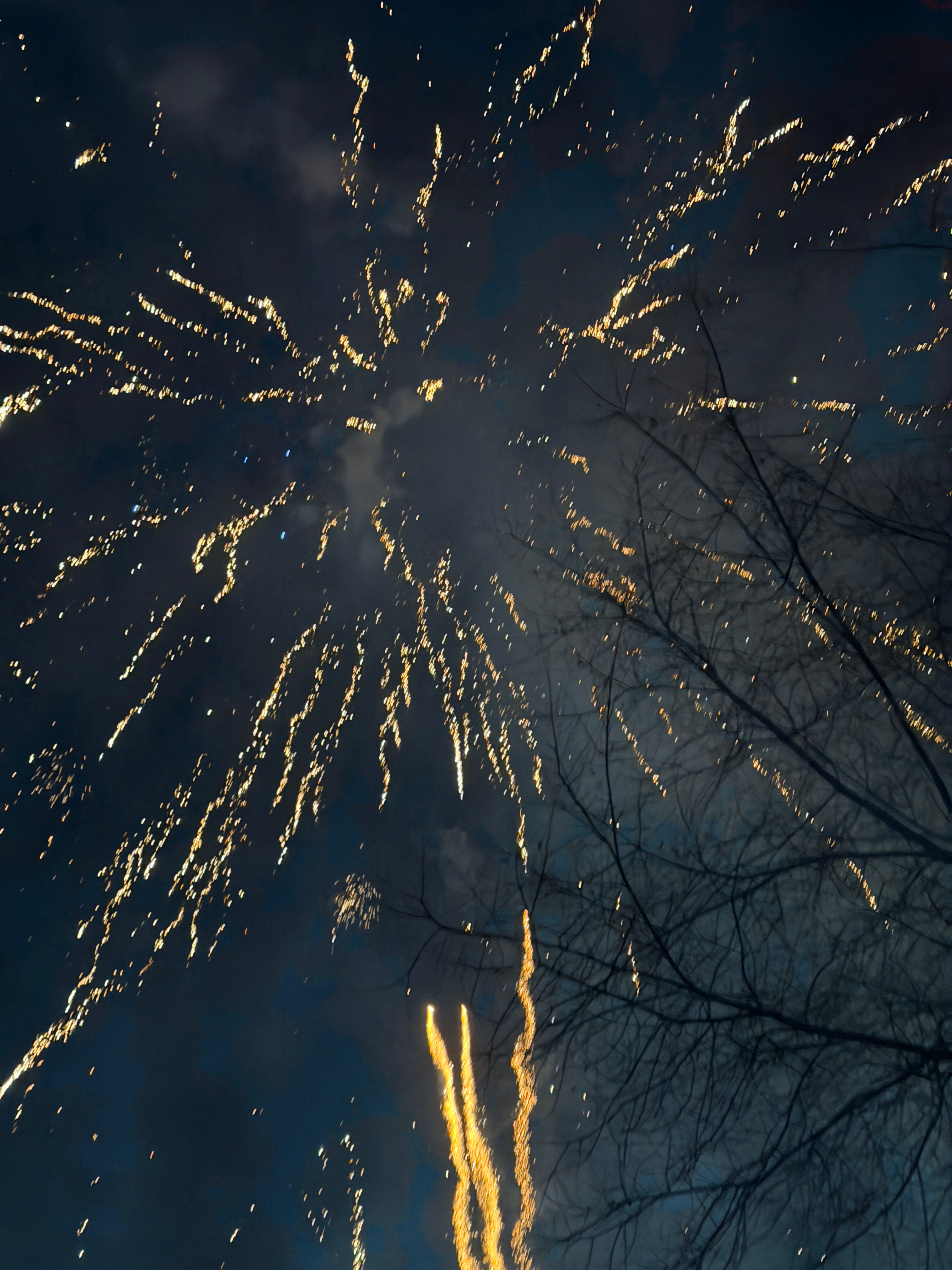 大家新年快乐！！！ 