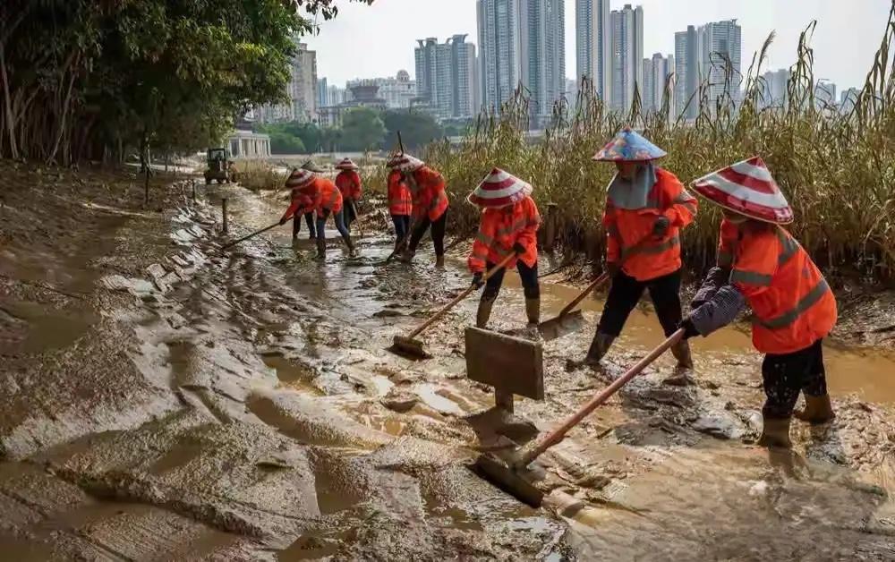 洪水过后，南宁邕江两岸的公园正在清理淤泥。

这淤泥垃圾又全部清回河道，又堵上加