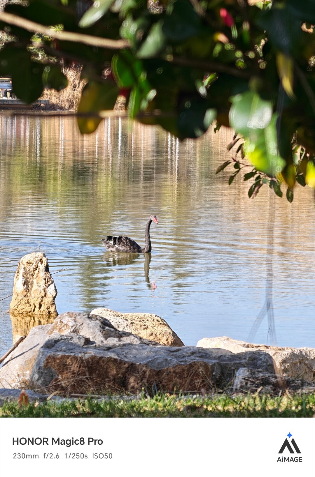 今天大寒，只是早上有点冷，现在大太阳太暖和了。用大寒节气打开冬日中国之美