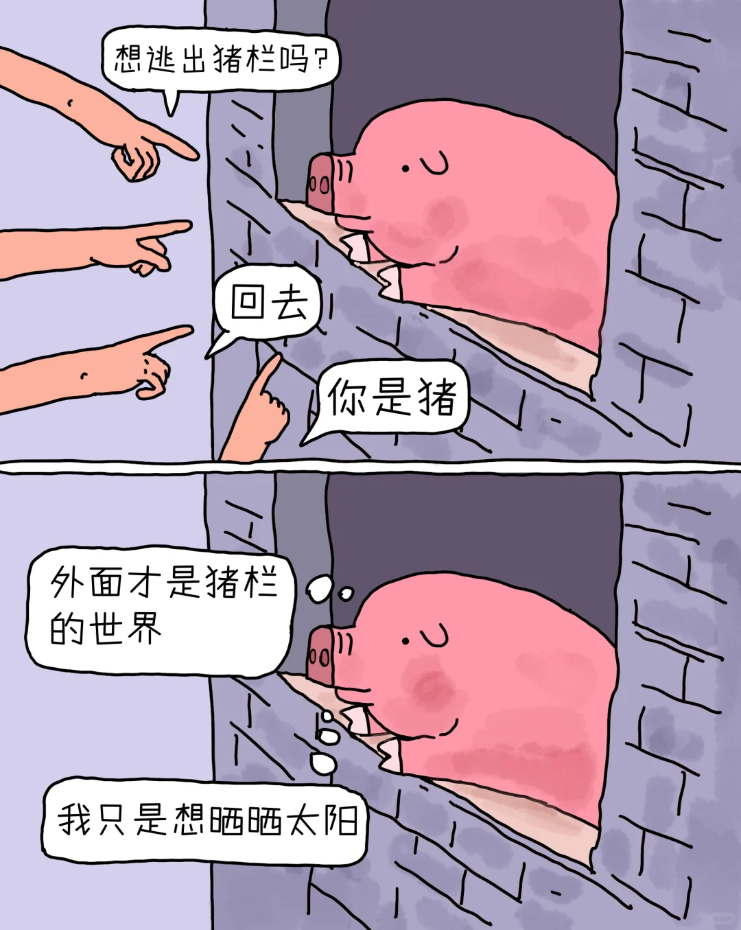 别挡着猪晒太阳