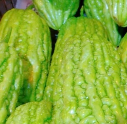 苦瓜的种植方法一、选种与催芽：选择饱满、无病虫害的苦瓜种子，用温水浸泡6-8小时