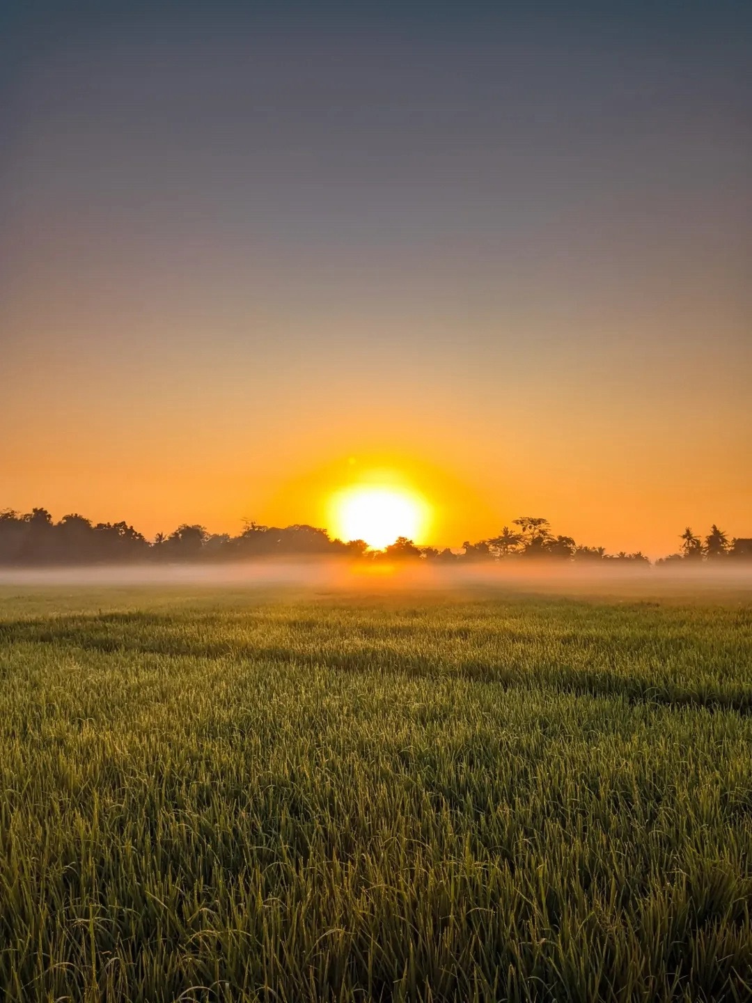 早，周末愉快！ ​​​