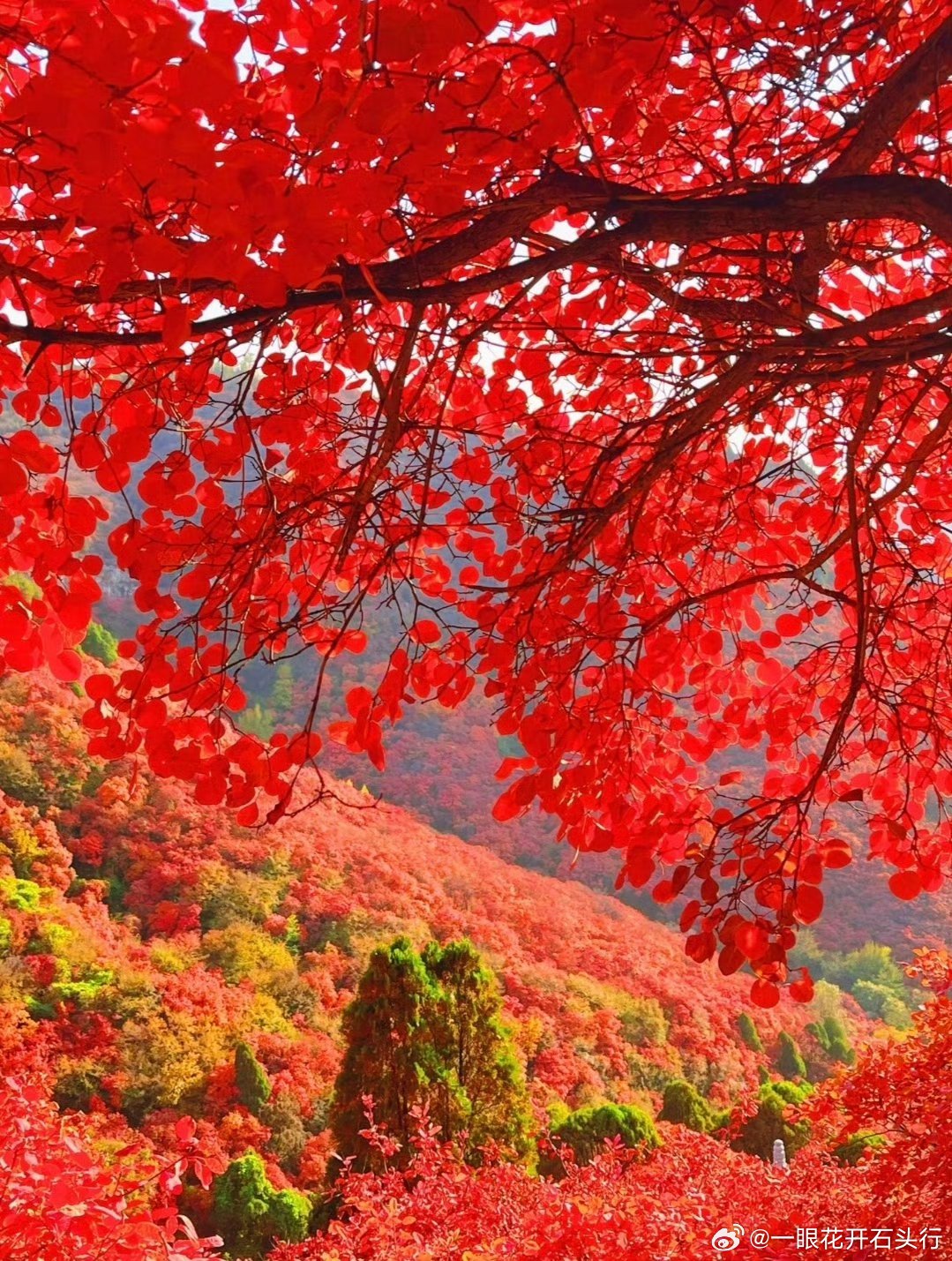 所有大量的财富都是建立在无数小损失基础上之上的 ​​​