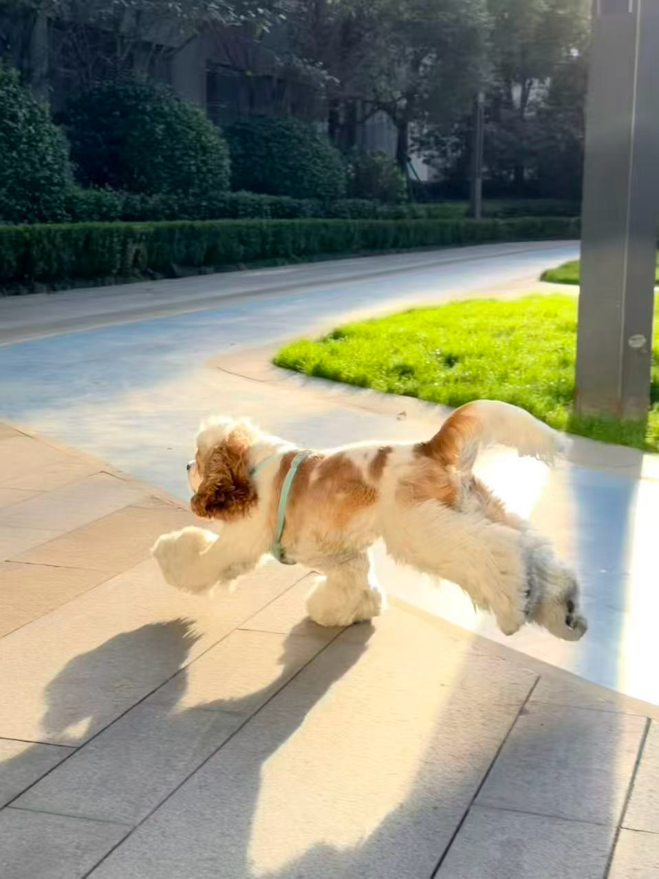 快乐比比 [舔屏][舔屏][舔屏] ​​​