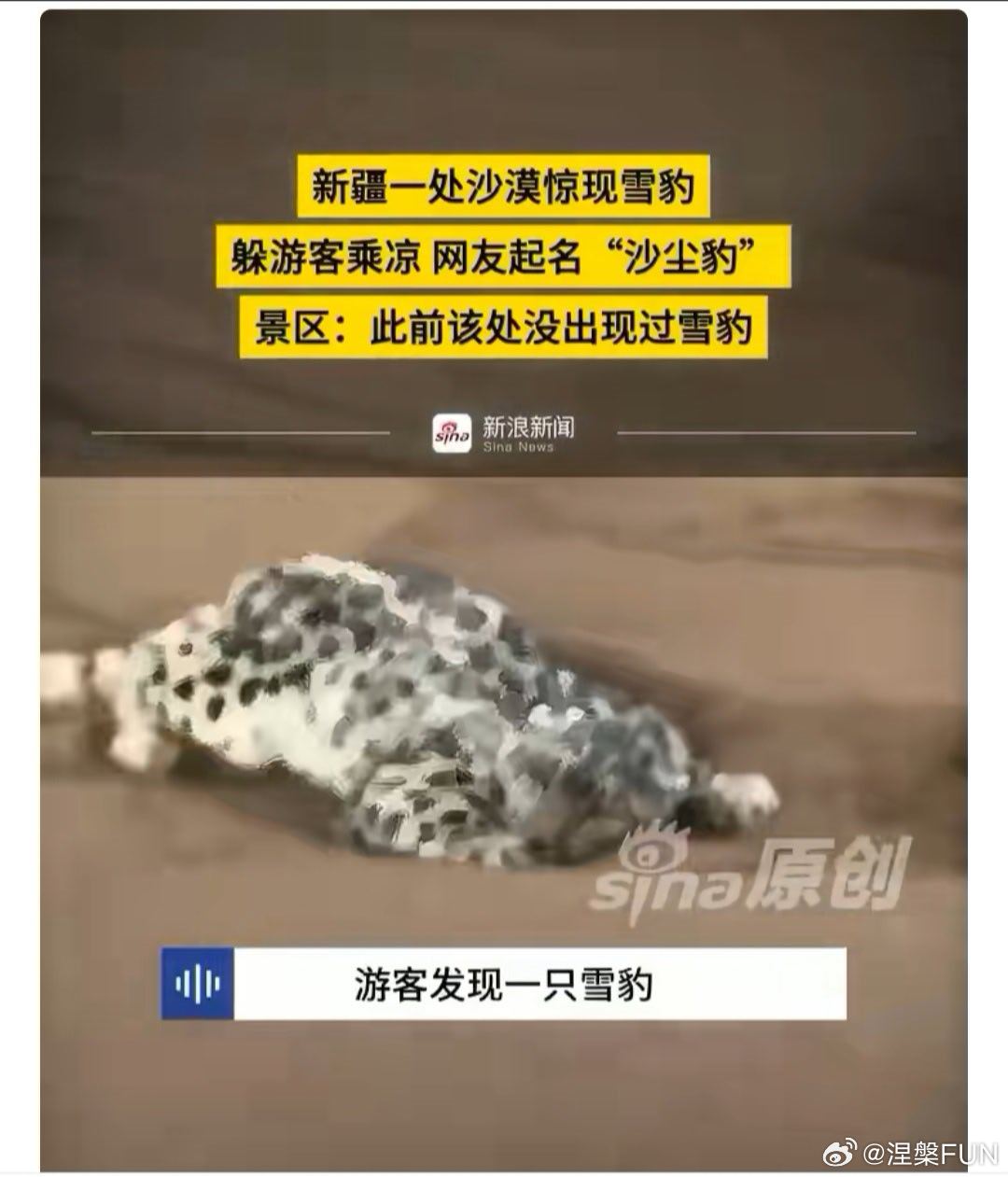 新疆一处沙漠惊现沙尘豹坦克300车主在沙漠遇到一台方程豹？哦，不不不，是沙尘豹！