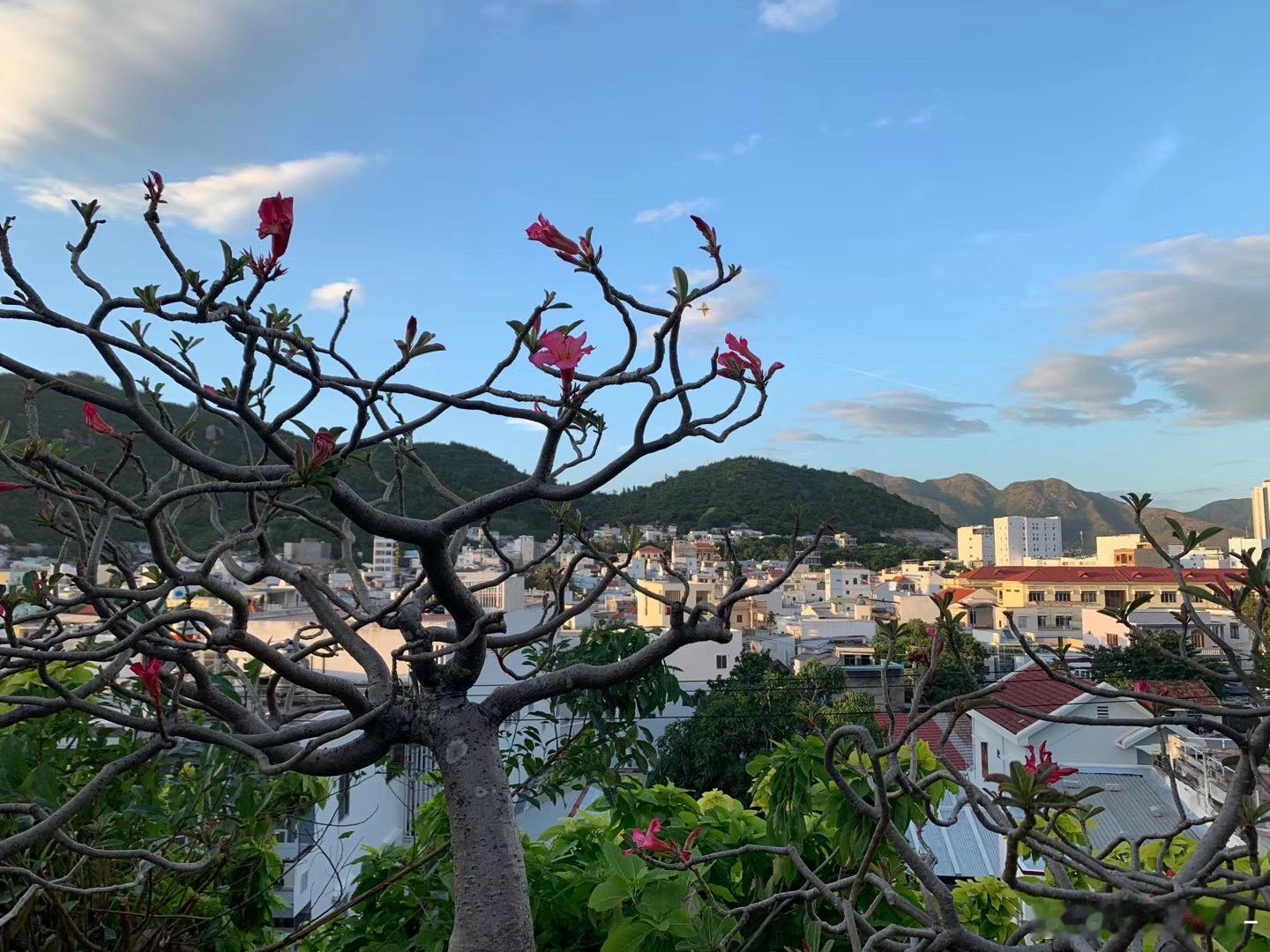 生活本就是苦乐交织，有繁花似锦，也会有风雨泥泞。我们难免会经历挫败，会陷入自我怀