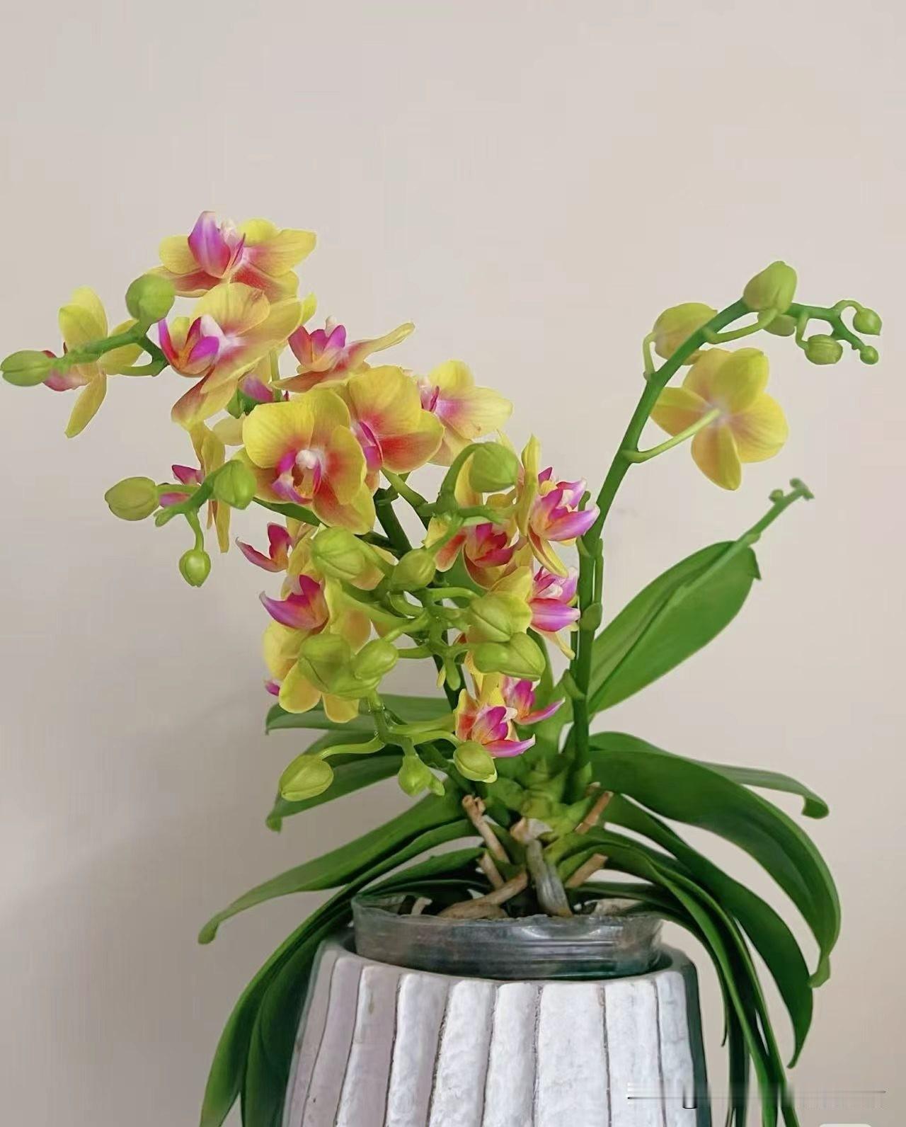 人作死的八大操作：

1、清晨洗头洗澡
2、沙发久坐不动
3、睡前剧烈运动
4、