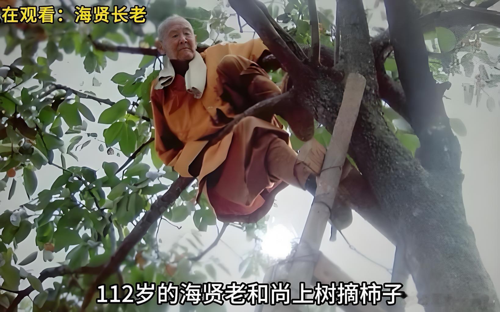 在我眼里，一切都好，没有啥不好的。见啥都说好，见啥都高兴，心里才能经常充满法喜，
