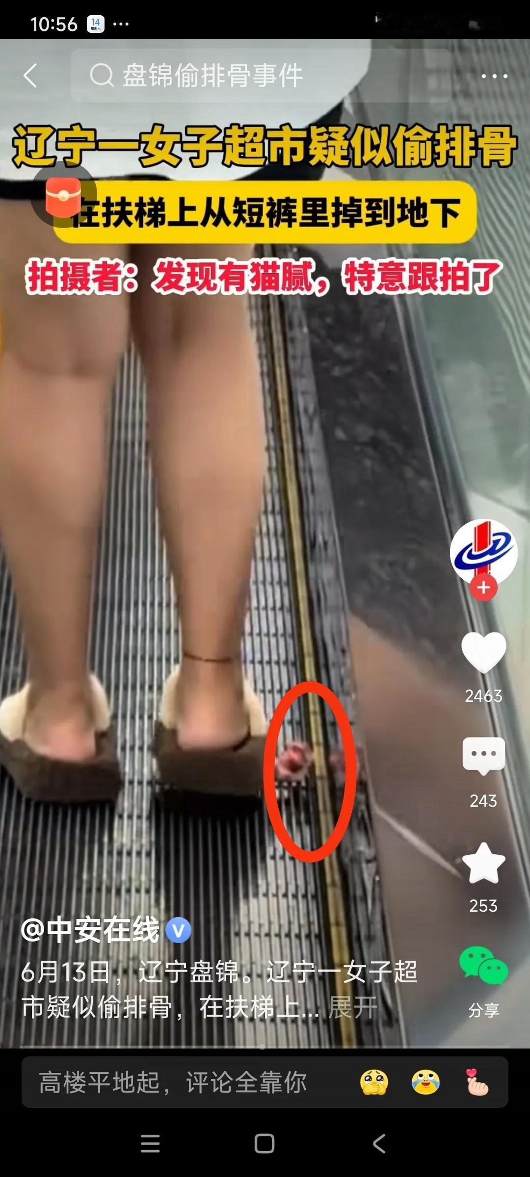 这是穷的真的吃不起排骨了吗，非要用这种方式带走它？

6月13日，辽宁盘锦，一女