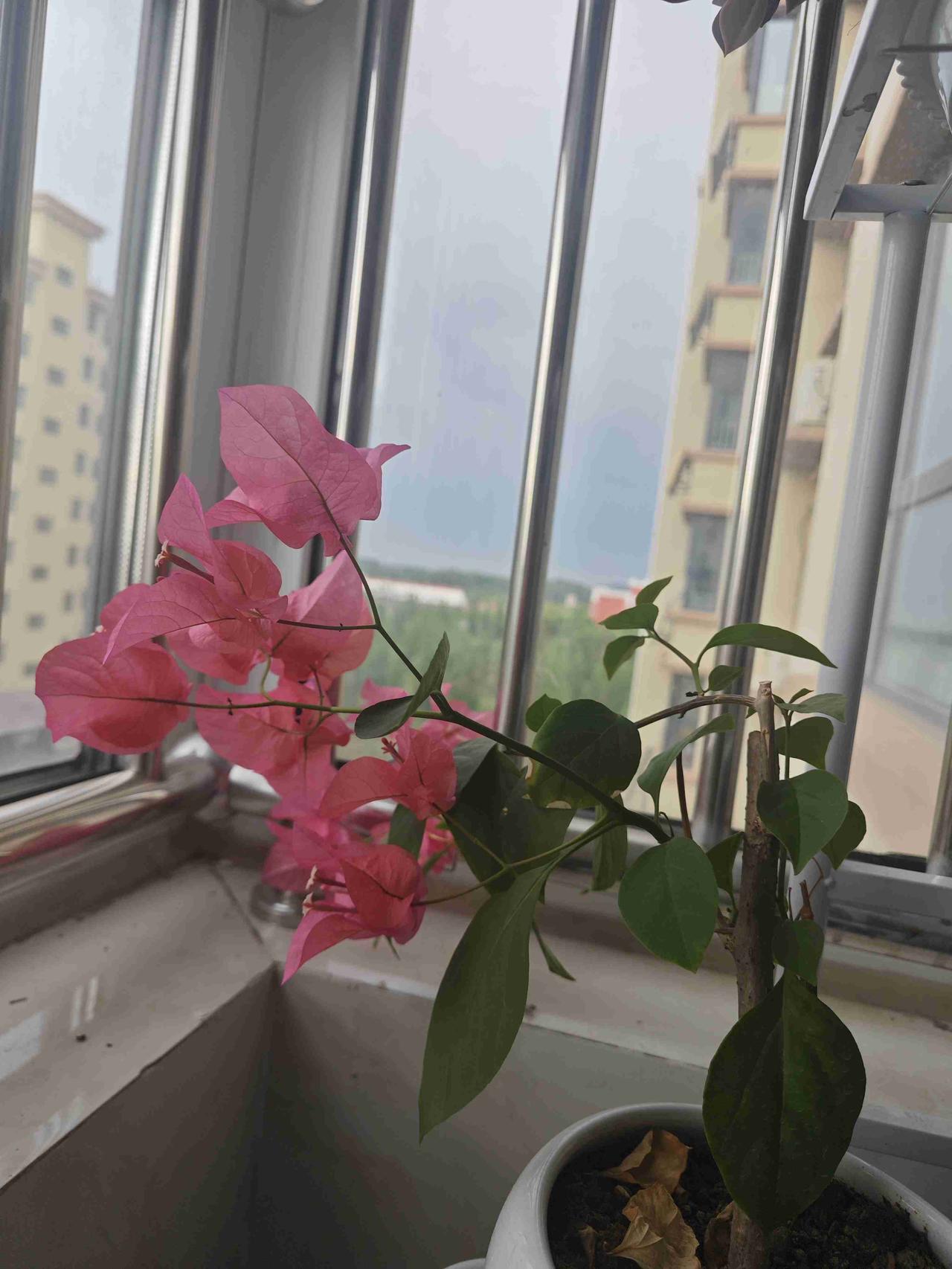 我的今日状态：😁轻松愉快
我这里的天气：🌈雨过天晴
快点晴天吧，昨晚他们赶着