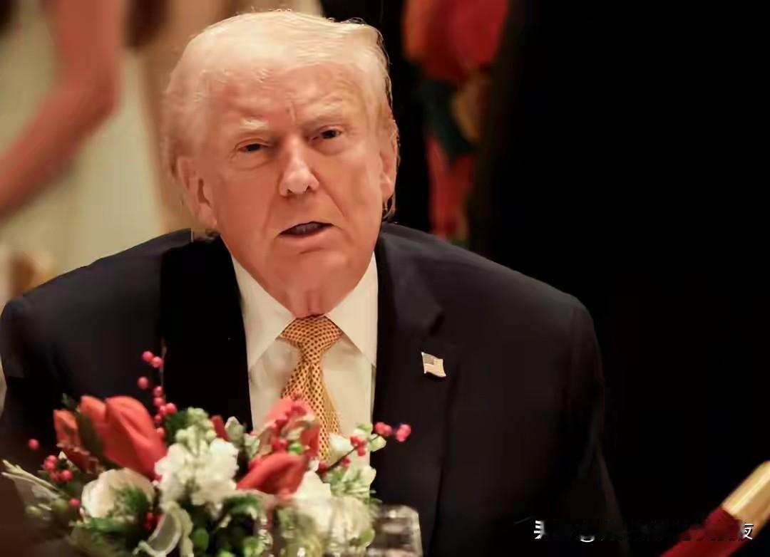 泽连斯基赌上政治生命！携20点计划赴美，特朗普：我说了才算！