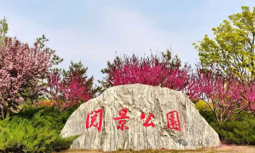 春日里的平谷阅景公园，真真是把春天最美好的模样都揉进了怀里。一走进园子，眼睛就先