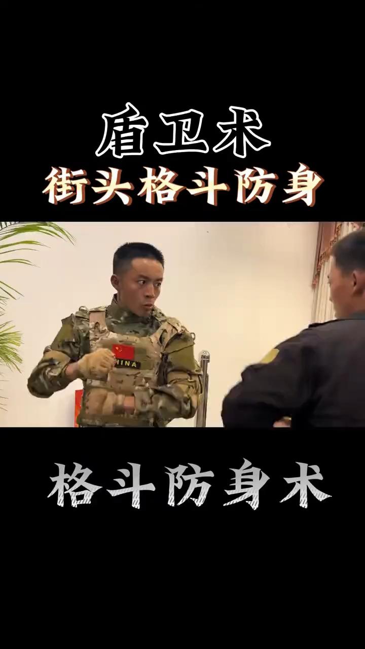 盾卫术，街头格斗防身。
盾卫术是一个折叠手臂形成盾面，对于力量进行抵抗、防御的动