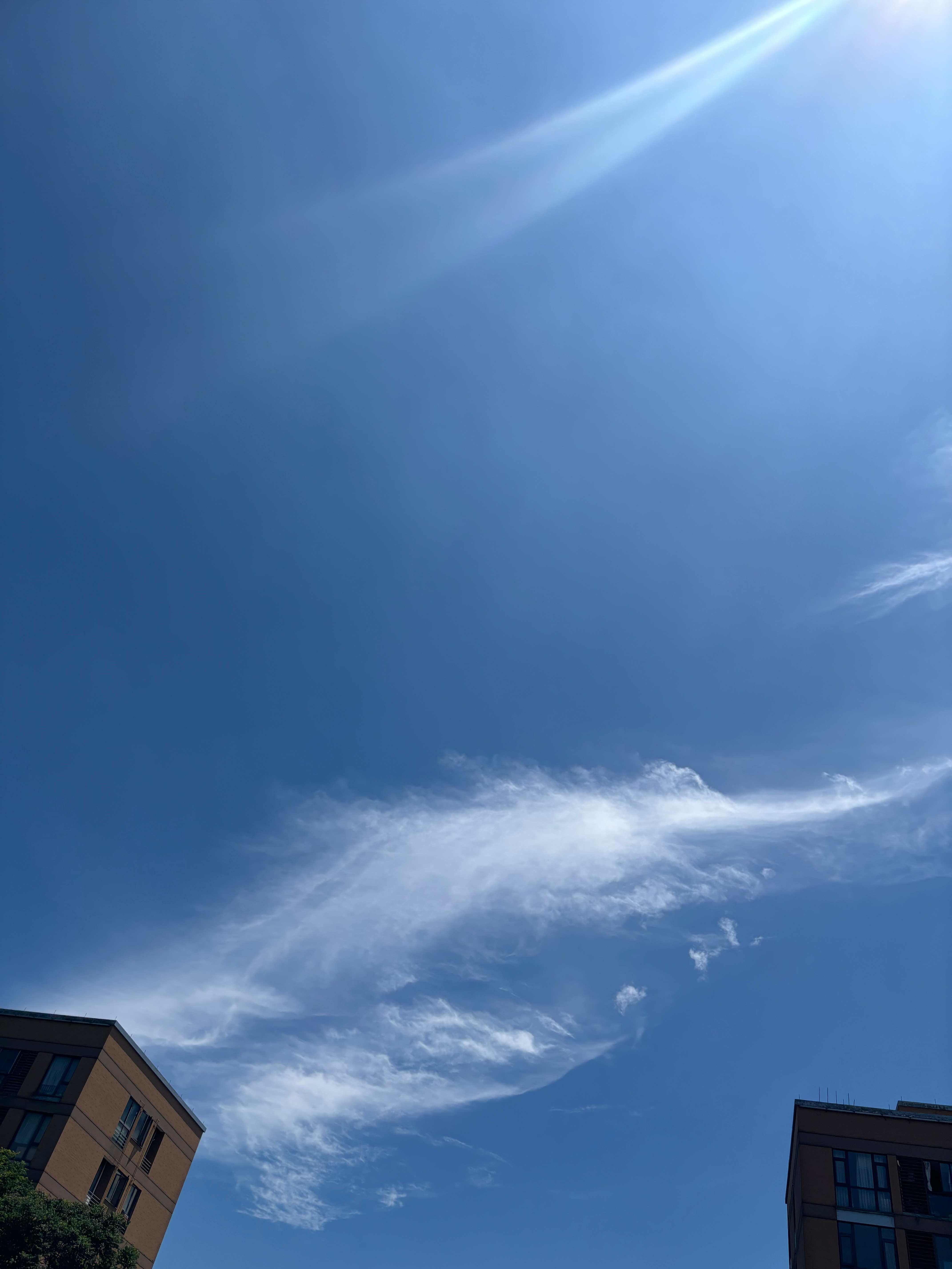 热成这样，会有台风吗