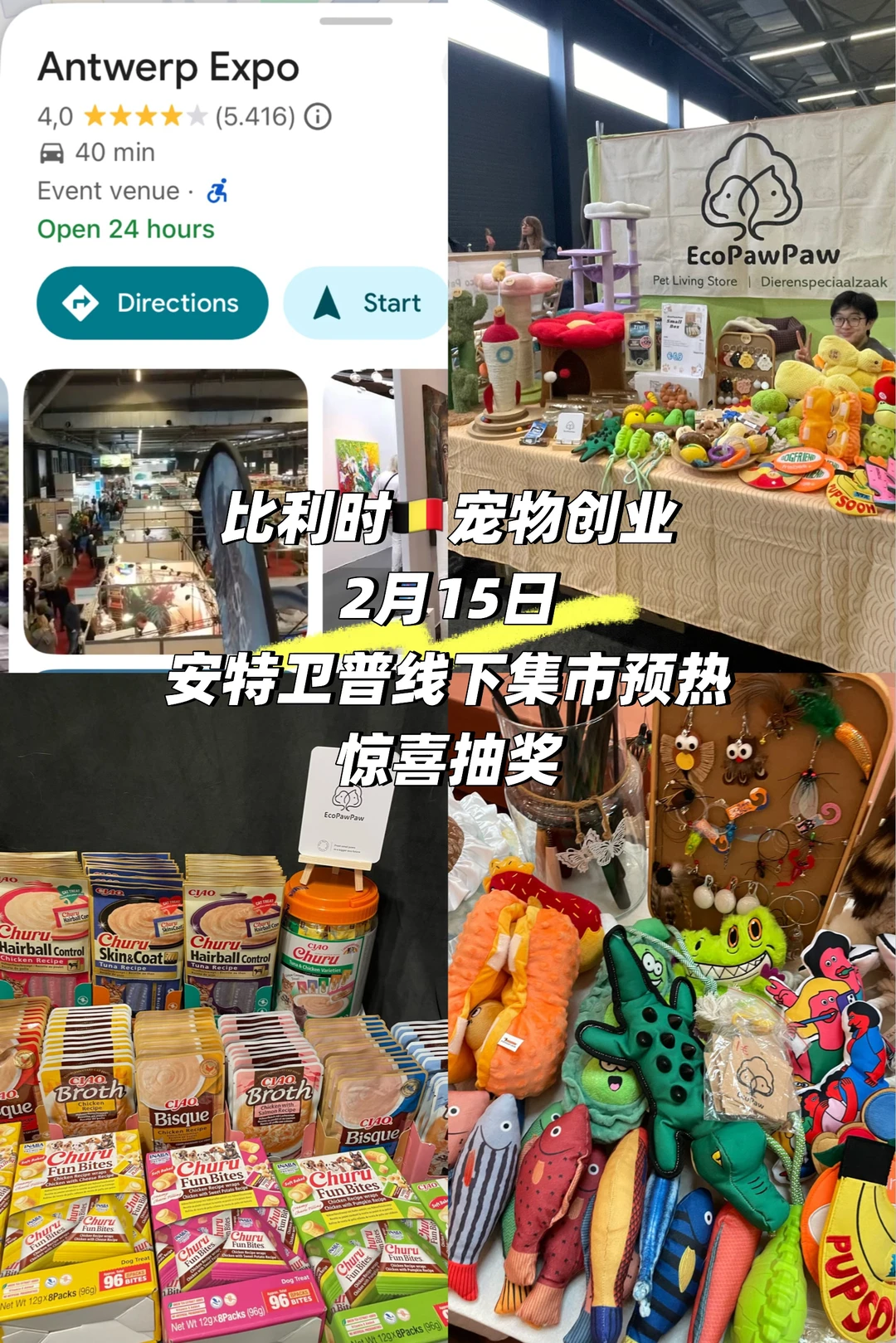 在比利时🇧🇪做宠物创业｜给大家准备了礼物