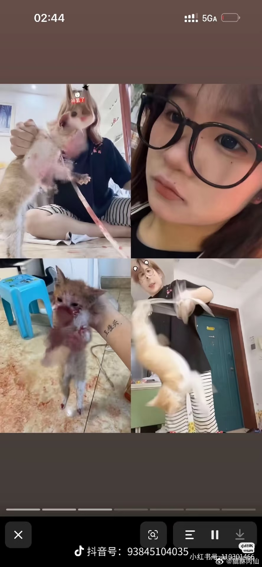 看见女孩子虐猫，会比bro难过一百倍。但是我似乎忘记，弱者也可以是刽子手。 