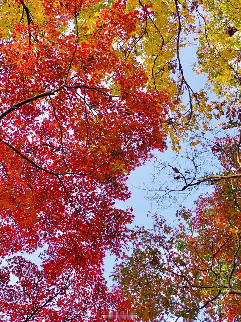突然意识到人一定要流动起来【人为什么要“流动”？这两张图说透了】突然懂了：人活着