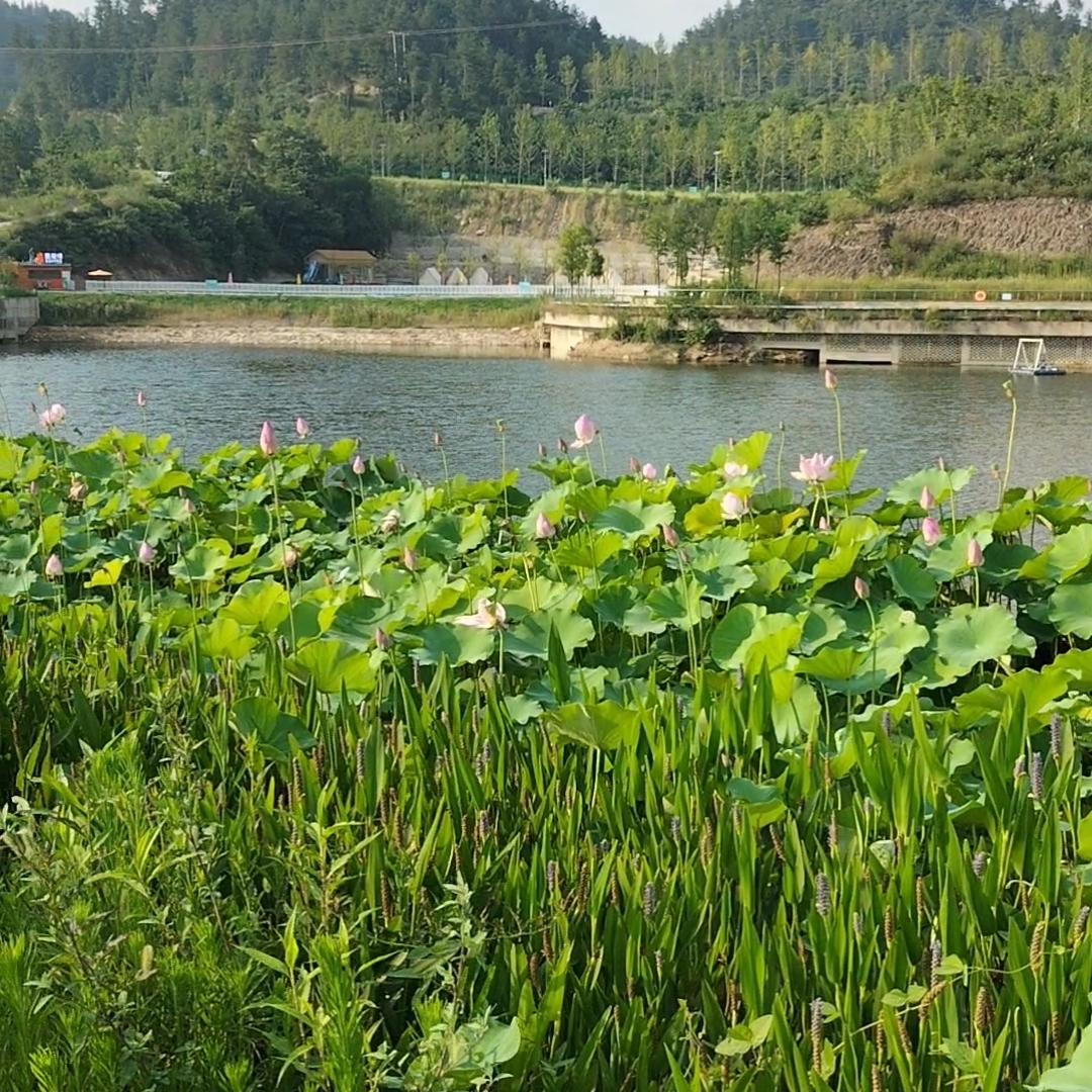 夏日美好[玫瑰][玫瑰][玫瑰][玫瑰][玫瑰][玫瑰][玫瑰][玫瑰][玫瑰]