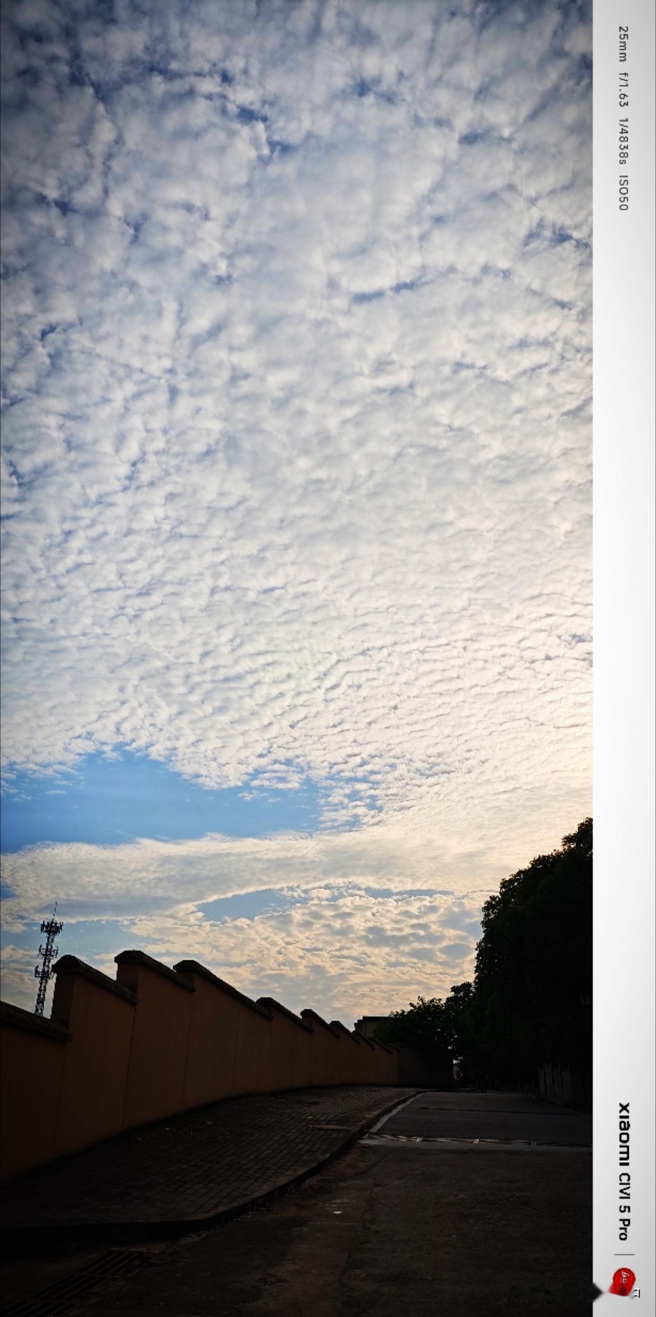 天空是蓝的，云朵层层叠叠地铺开，白得清透，没有烟火，没有杂尘，只有光和希望。每一