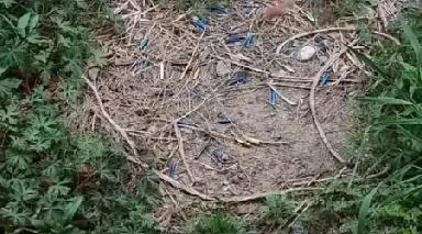 江苏，一男子抽烟后，长期把烟头丢在同一片草地上，这天他又在老地方抽烟时，竟突然发