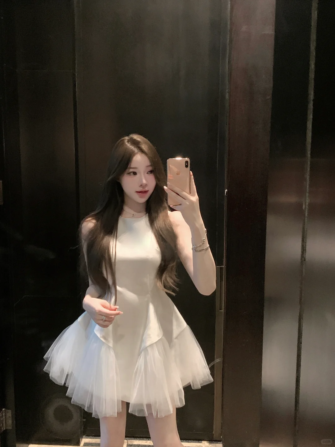 白天鹅🦢