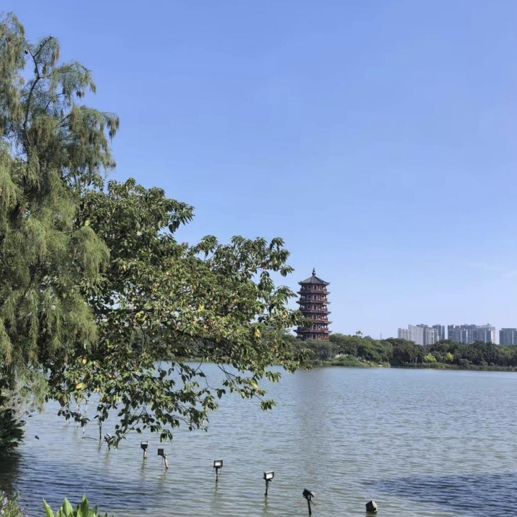 大姐被强制退休后拉黑公司，一通回拨电话，道尽成年人最狠的清醒。
 
公司有个五十