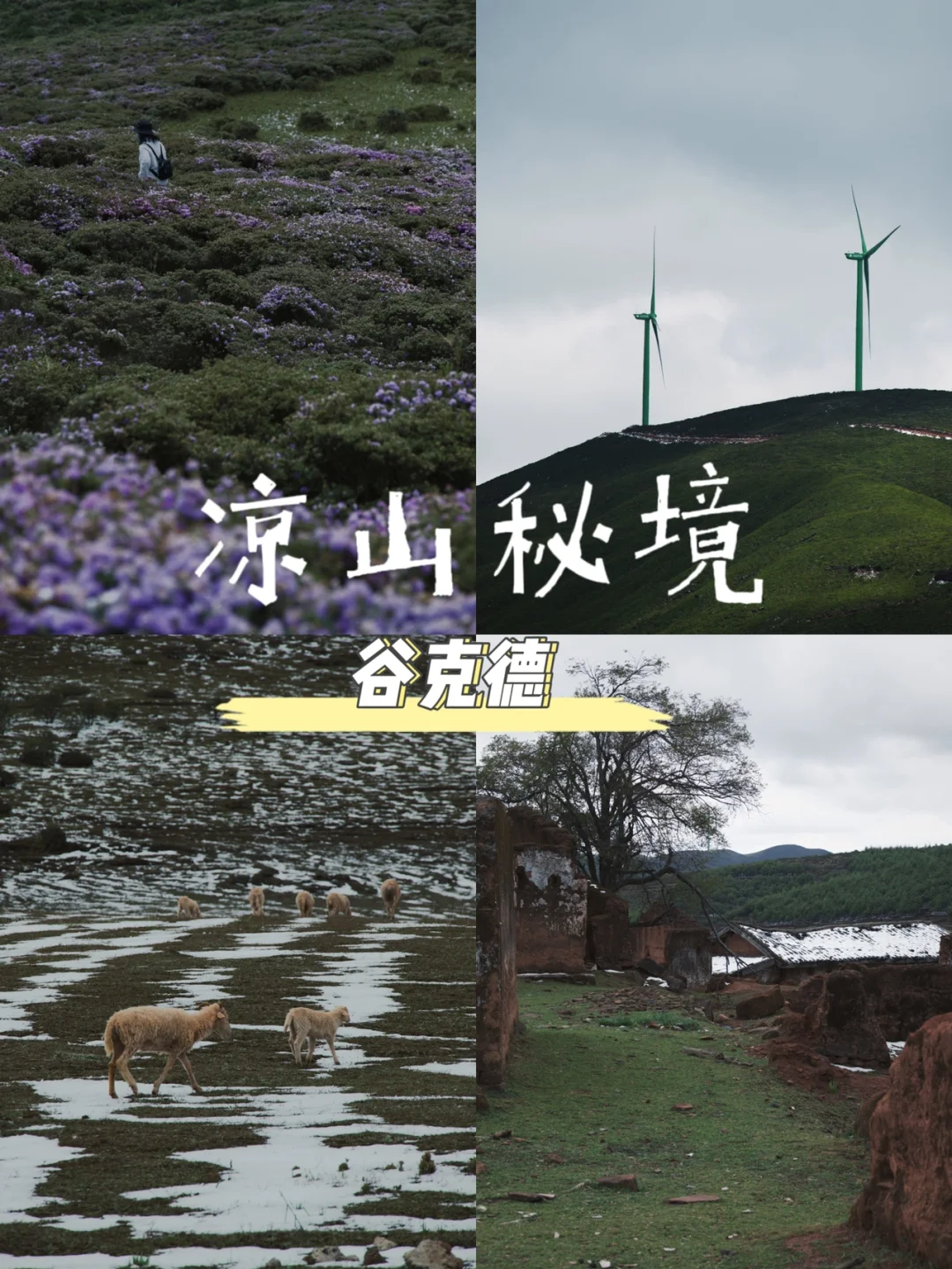 凉山秘境🌳不仅有索玛花海还有国保级古迹🗿