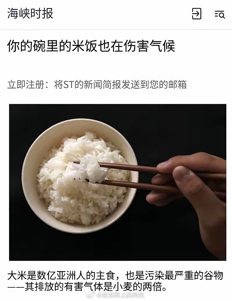 🔥 看到这三张图，我血压上来了。《海峡时报》中英文齐发：《你的碗里的米饭也在伤