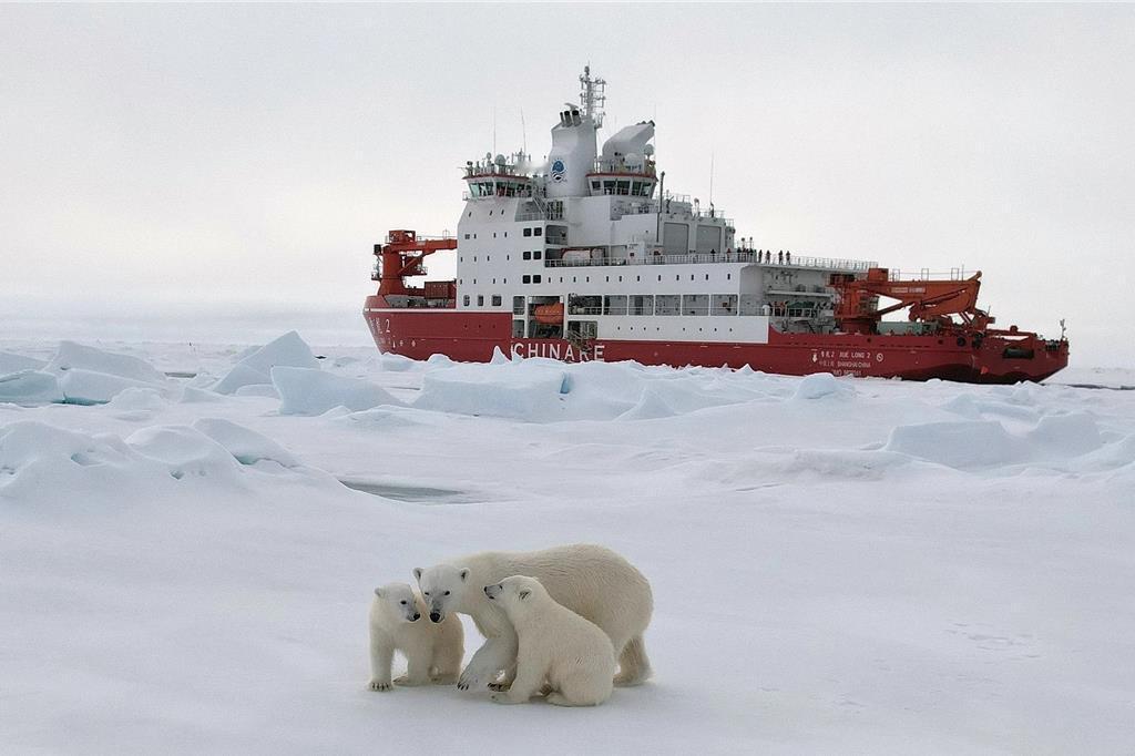 当中国自主建造的破冰科考船雪龙2号，现身北冰洋，和可爱的北极熊一家在一起，在这一