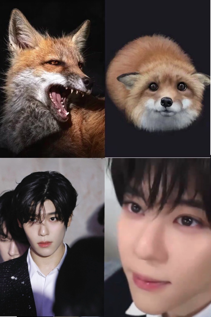 【tg】🦊 