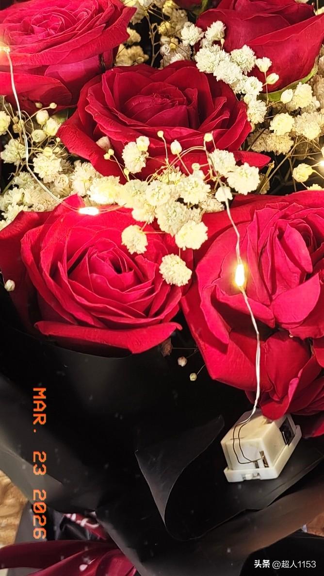 这一捧漂亮的红玫瑰，
一直留在相册中。

这是2023年过生日，
女儿送的祝福。