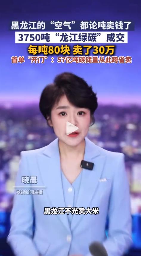 头一回听说！黑龙江一林业局把3750吨‘空气’跨省卖到了海南，每吨80块，成交总
