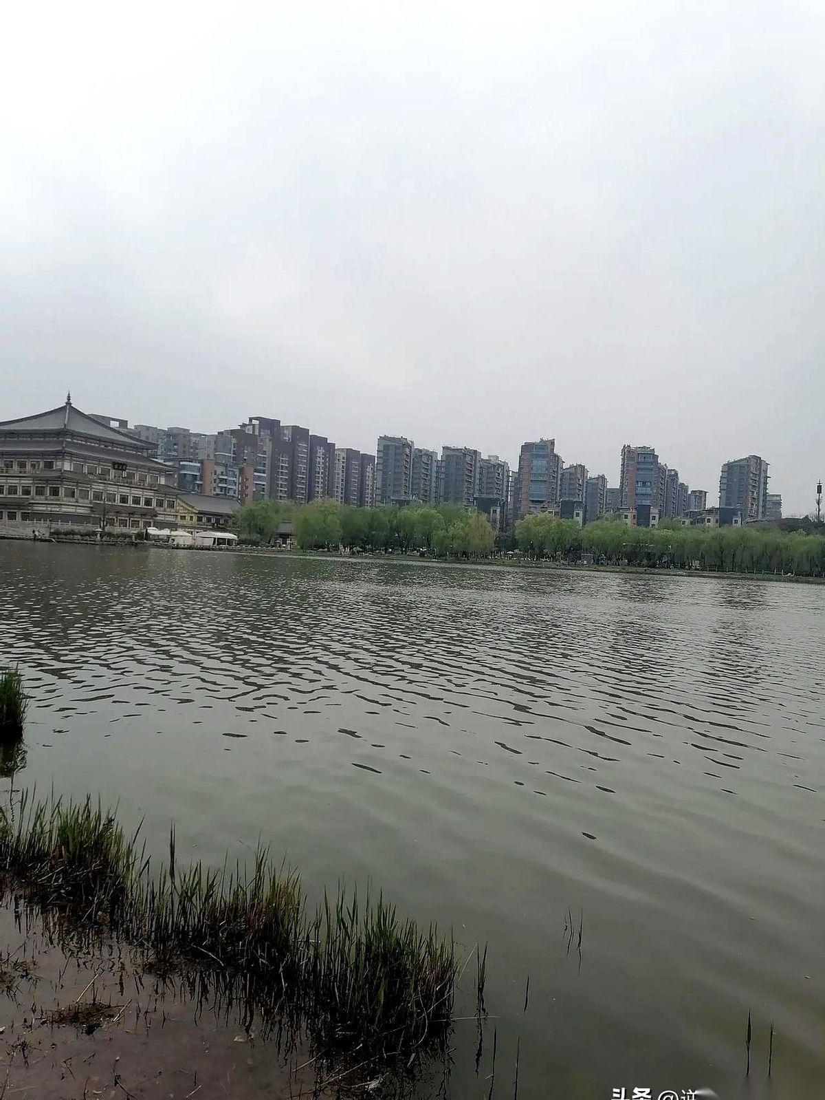 那个叫张九思的简历，我翻了一下。
28岁，头衔是电子科技大学的副教授。
这还不算