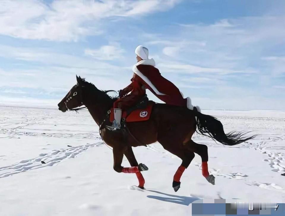 除了不戴护具策马草原，贺娇龙还曾坐在百米高的吊床上宣传新疆棉！很多网友都劝她不要