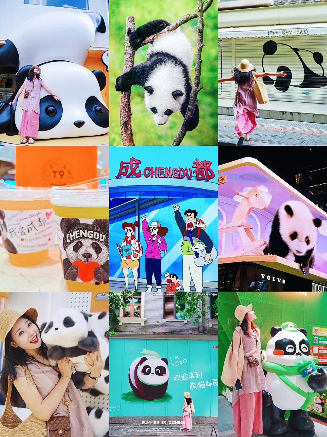 成都一日游！超全熊猫🐼citywalk路线！🗺️