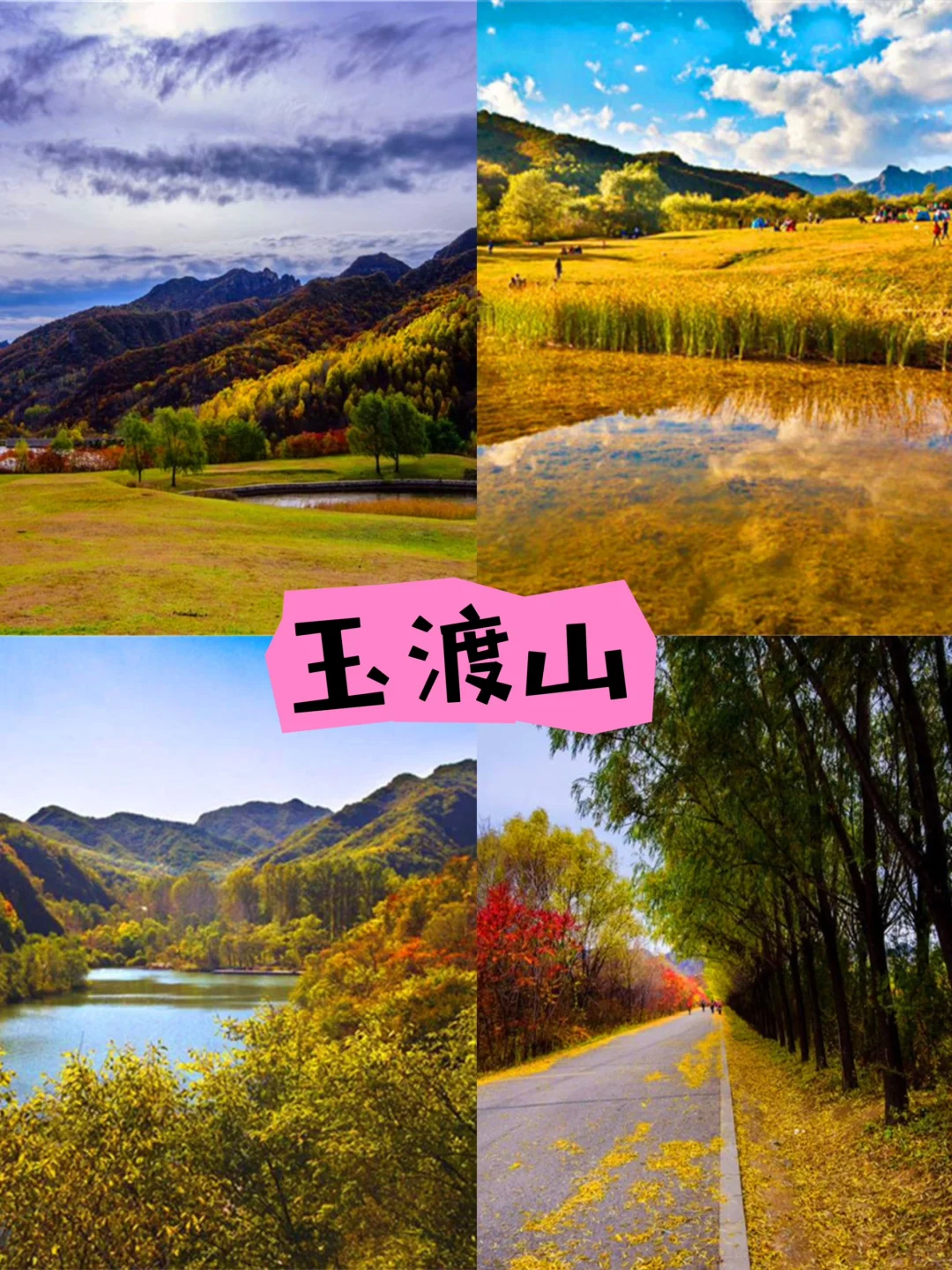 北京秋日团建🚗延庆玉渡山➕赏秋➕高山草甸