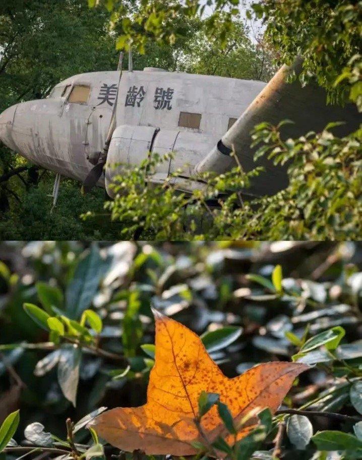 看不懂平安的人，永远赚不到大钱A股最冤枉、最被散户误解、最被低估的核心资产是中国
