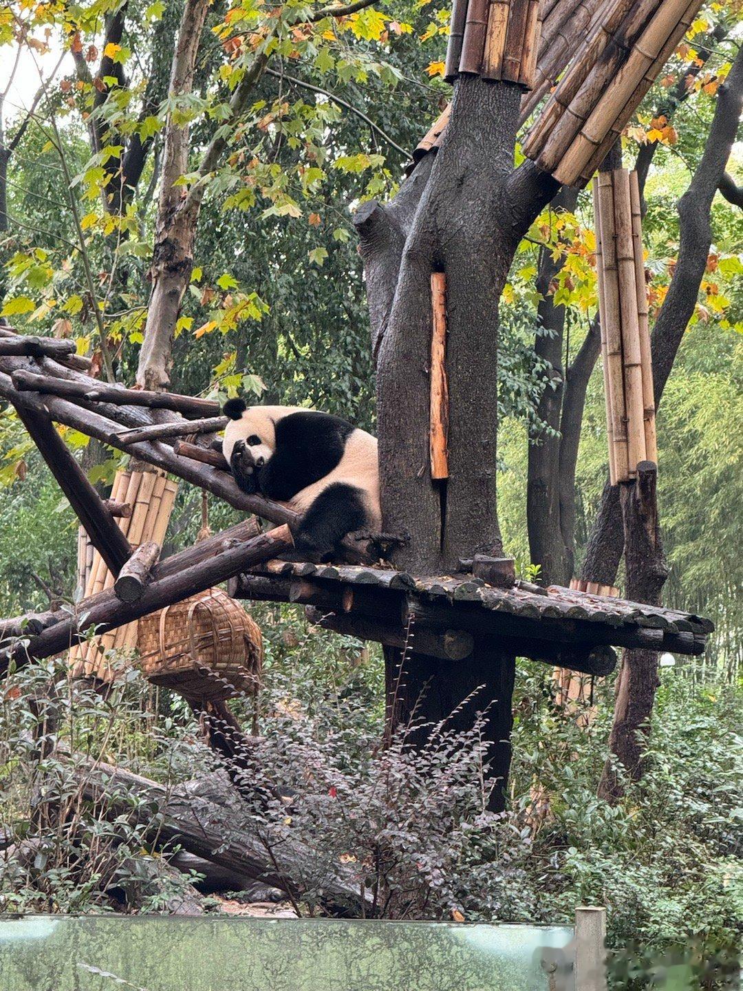 分享图片 ​​​