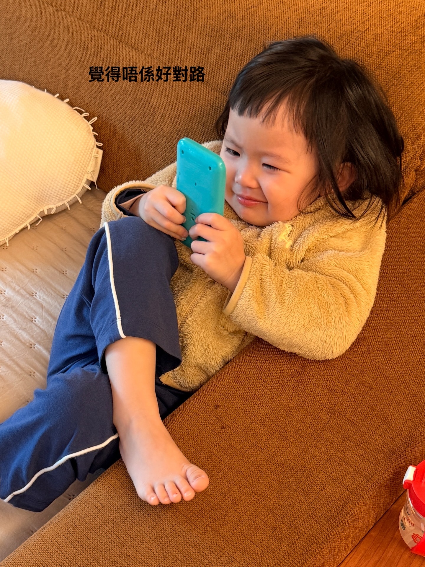 李老母：港女事件簿 